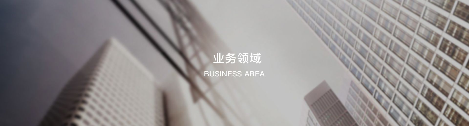 業(yè)務領域