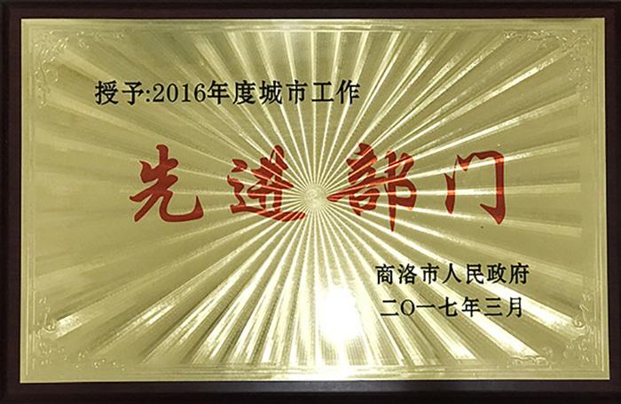 2016年度城市工作：先進部門