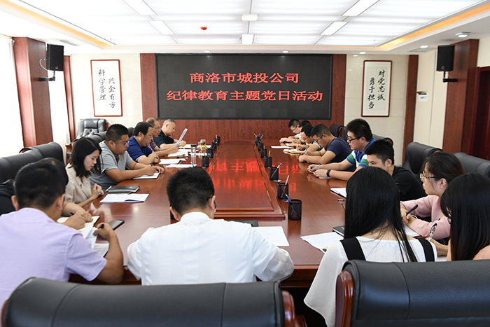 市城投公司開展&ldquo;明紀(jì)律、知敬畏、存戒懼、守底線、做表率&rdquo;紀(jì)律教育學(xué)習(xí)活動