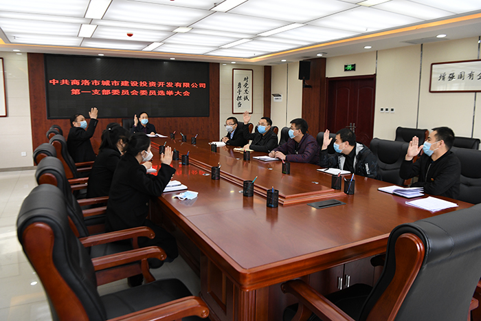 黨建引領(lǐng)謀發(fā)展  逐夢前行譜新篇 &mdash;&mdash;市城投公司黨總支所屬各支部召開黨員大會選舉產(chǎn)生第一屆支委成員