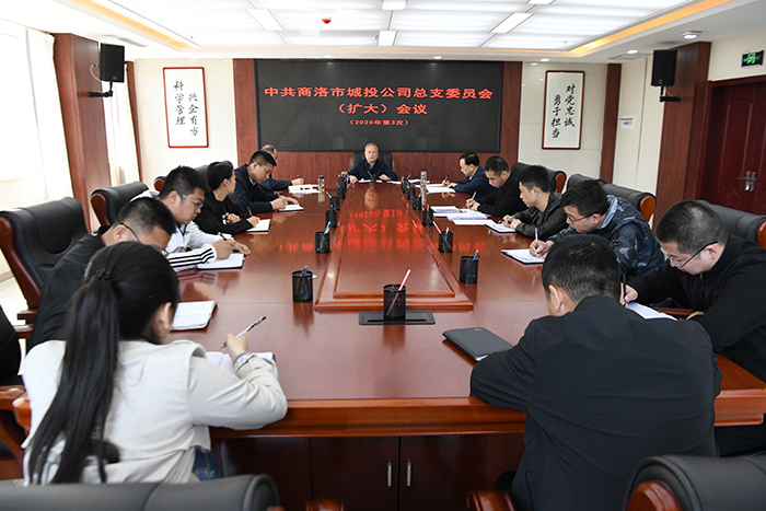 市城投公司召開總支委員（擴大）會議    傳達學習習近平總書記來陜考察重要講話     重要指示精神