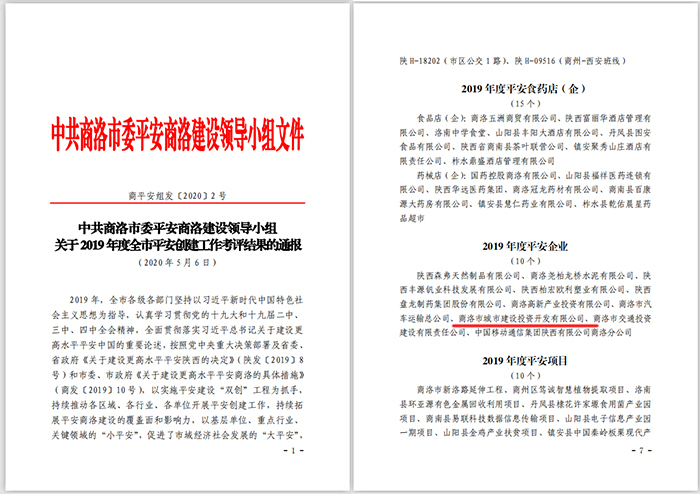 市城投公司榮獲2019年度平安企業(yè)稱號