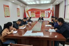 公司第二支部開展&ldquo;戴黨徽、亮身份、亮標準、亮承諾、展先鋒&rdquo;主題黨日活動