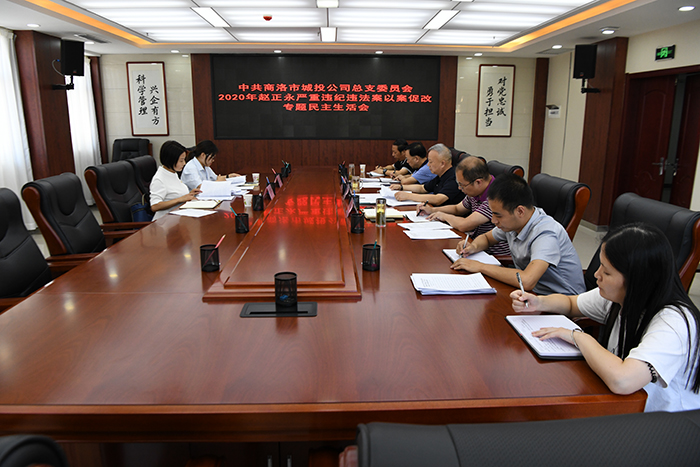 市城投公司領(lǐng)導(dǎo)班子召開趙正永嚴(yán)重違紀(jì)違法案以案促改專題民主生活會(huì)