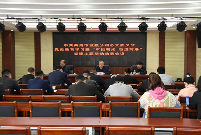 公司黨總支召開黨史學(xué)習(xí)教育暨&ldquo;牢記囑托、奮進(jìn)商洛&rdquo;黨建主題活動(dòng)動(dòng)員會(huì)議