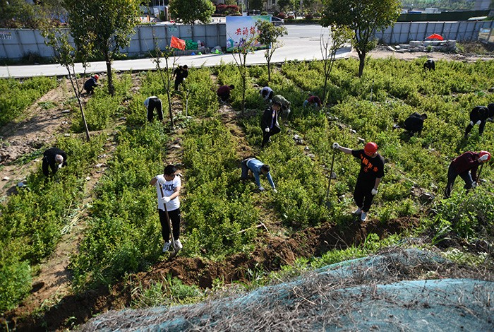 公司第二黨支部開展&ldquo;牢記書記殷殷囑托,爭(zhēng)做 秦嶺生態(tài)衛(wèi)士&rdquo;黨建實(shí)踐活動(dòng)