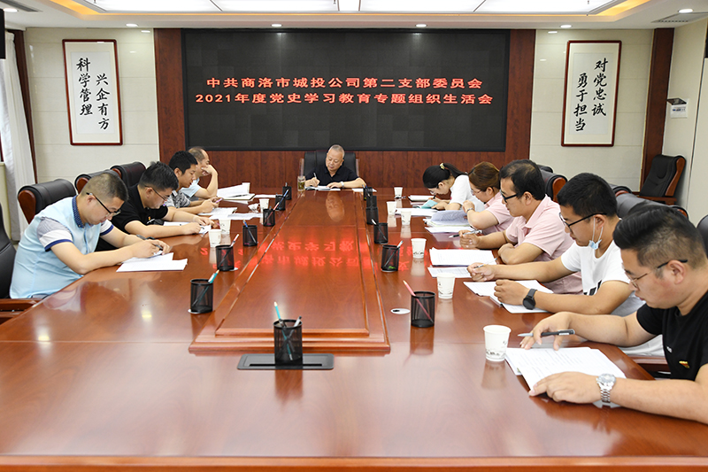 公司第二黨支部召開2021年度黨史學(xué)習(xí)教育專題組織生活會