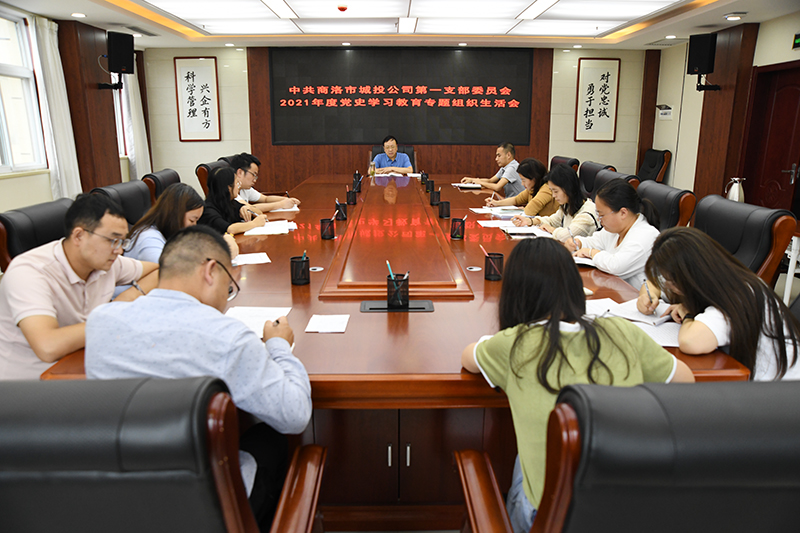 公司第一黨支部召開2021年黨史學(xué)習(xí)教育專題組織生活會