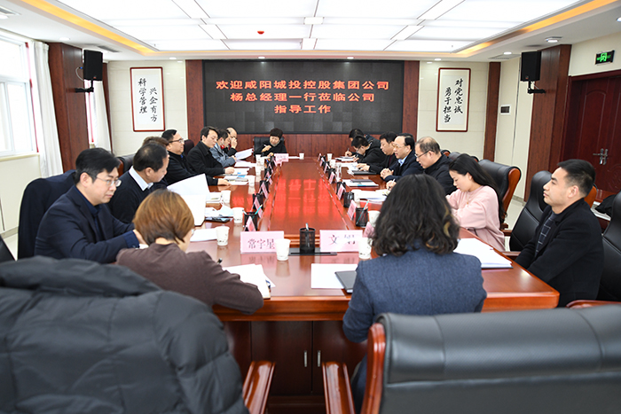 咸陽城投控股集團黨委副書記、總經(jīng)理楊小平一行蒞臨公司考察指導工作